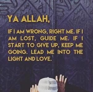 Meet your Posher, Aminata